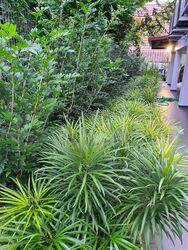 Changi South Lane (D16), Semi-Detached #501741561